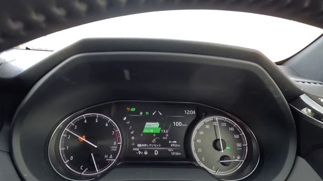 СУРОВЫЙ ПЕРЕГОН В КОНЦЕ ГОДА