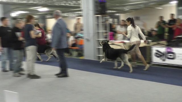 Расстановка класса ЧНКП смотреть онлайн