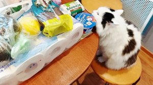 Покупки из трёх магазинов/Приготовила то, что надо после новогодних застолий