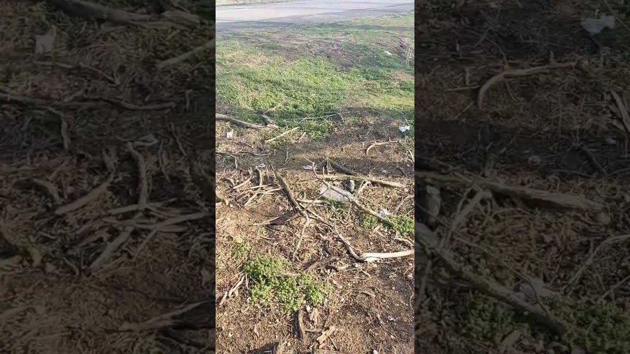 МУСОР НА ПОЛЯХ / Что это за СВИНСТВО?!