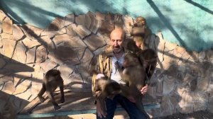 Влад принес в вольер Анфису и Люсю перестали все интересовать, ей всегда нужны только малыши)