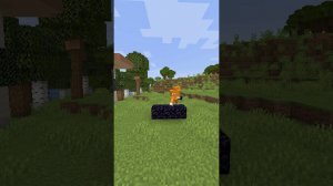 Самый лучший ЛАЙФХАК в Майнкрафт | WICSUR