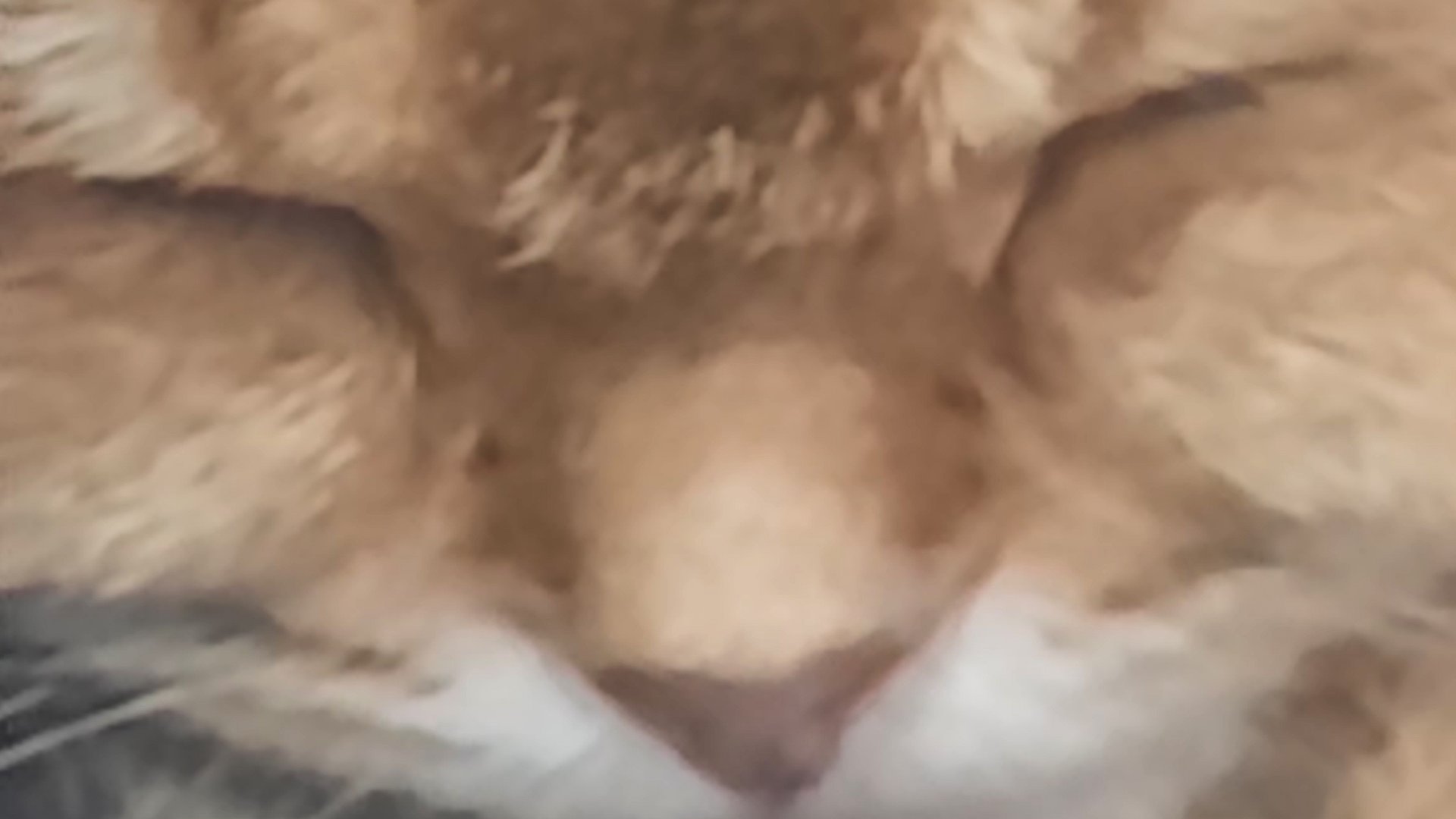 03-01-2026 смотреть онлайн