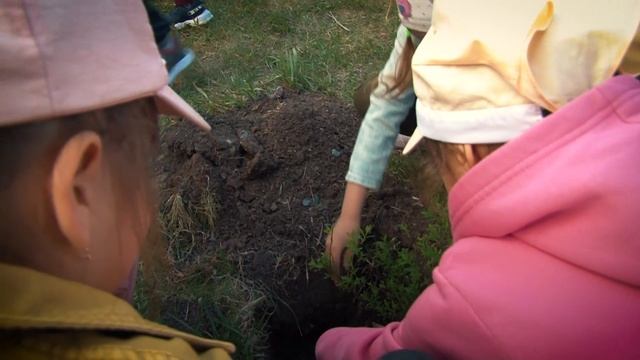 Алея Славы Выпускников