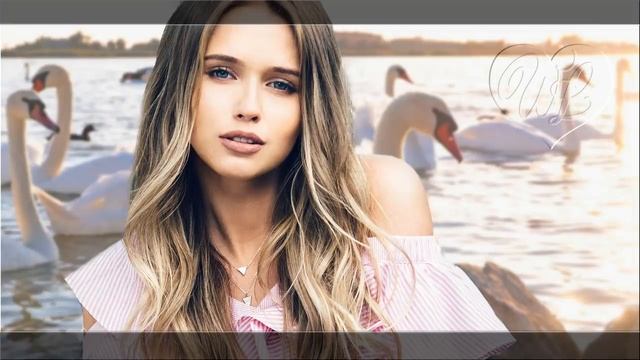 Песни Шансона 1. смотреть онлайн