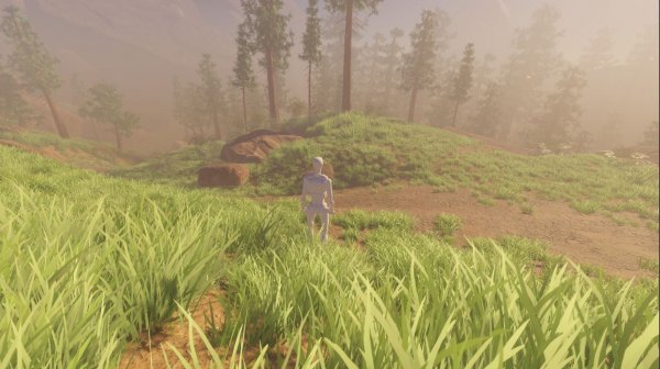 Unity 3d лесная локация с рекой