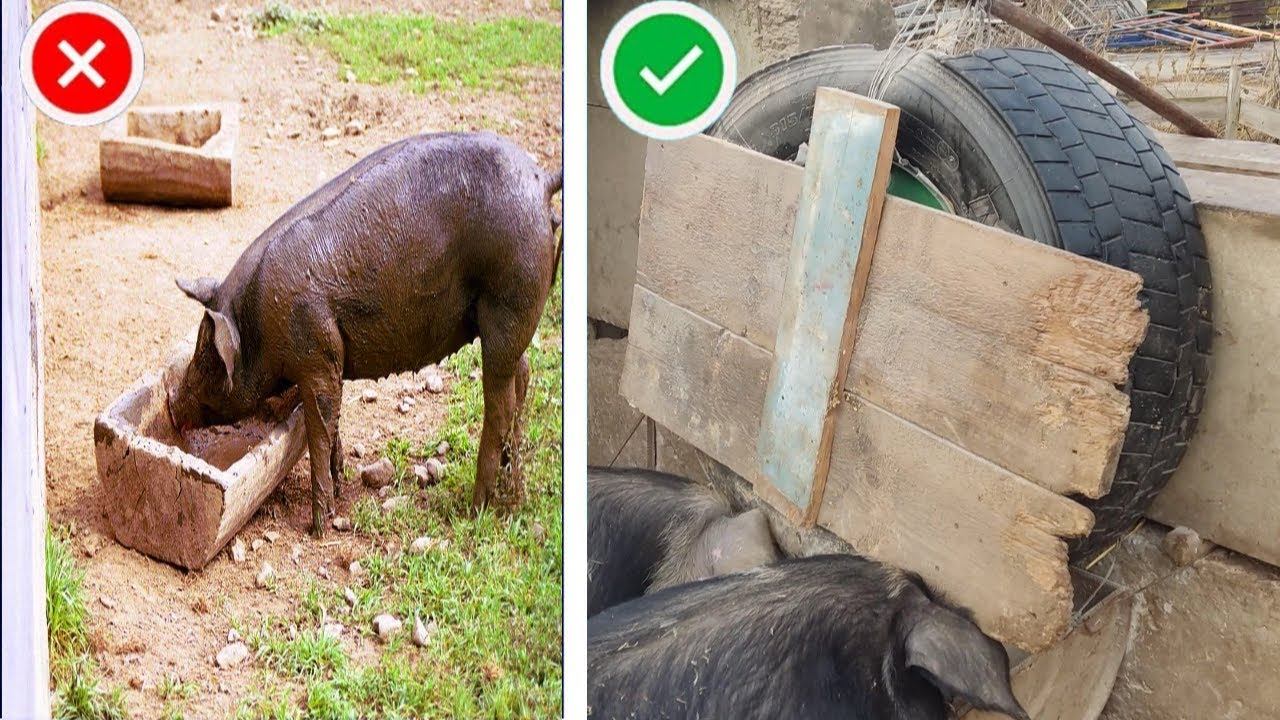 Дешёвая КОРМУШКА для Свиней из старой ПОКРЫШКИ !!! | Быстро и просто своими руками