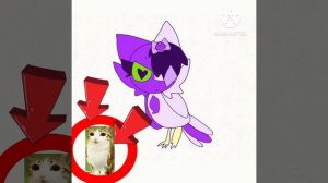 🗣️ДАРИНА СТАЛА Meowl ЭТО ПРОСТО ШОК