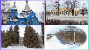 Пыталово.Покусала собака 🐕