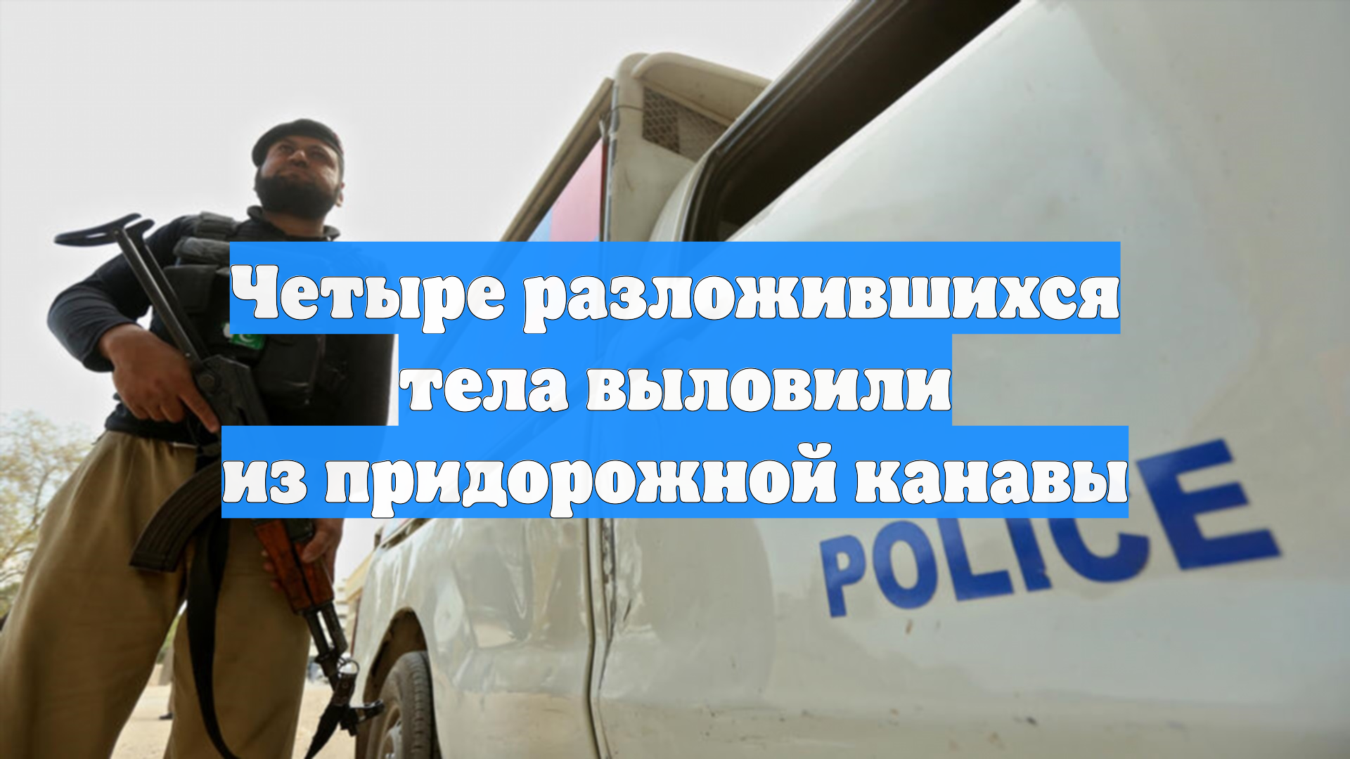Четыре разложившихся тела выловили из придорожной канавы смотреть онлайн