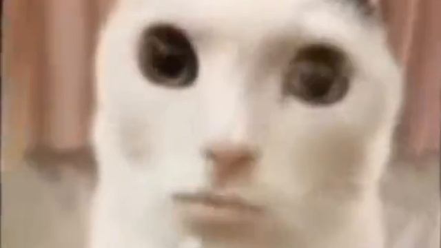 Аква Дискатека 😱😎😎