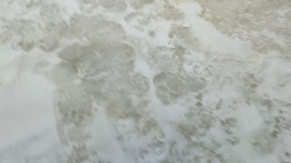 Основной водоём. Обама в деле.