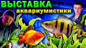 Выставка аквариумных рыбок 2026 готова! Всех ждём в гости!
