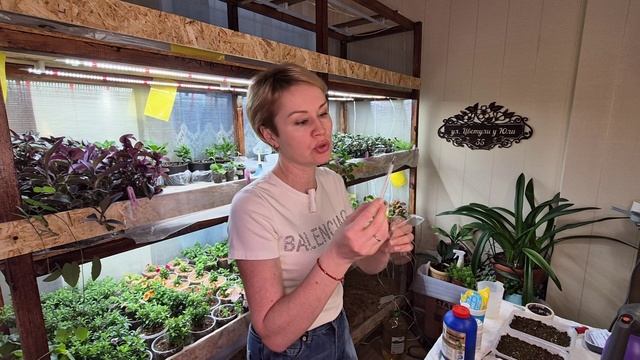 ПЕРВАЯ ПОДКОРМКА РАССАДЫ ЦВЕТОВ.2026 смотреть онлайн