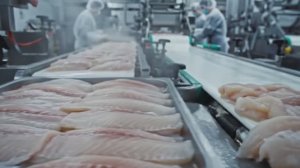 Как делают крабовые палочки. Полный цикл производства.