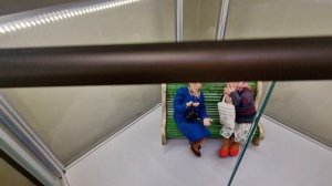 ПредНовогоднее!Выставка ватной игрушки,музей *Гамаюн*,предновогодняя суета!