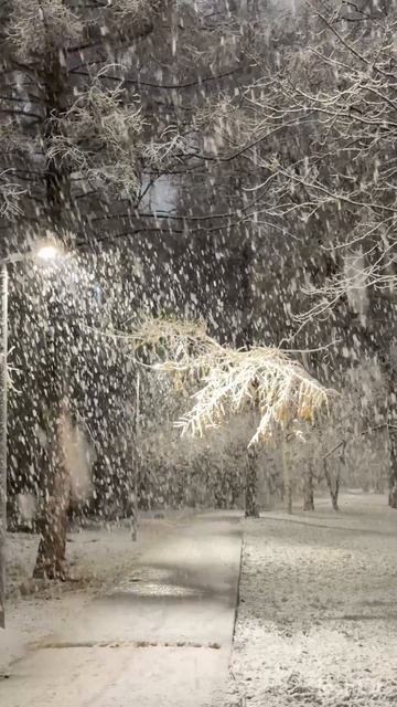 Зимушка зима