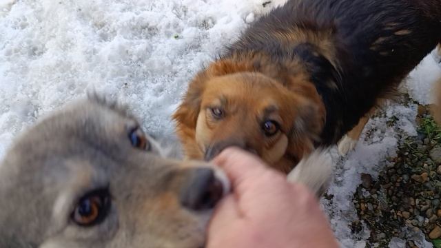 Мы приехали домой смотреть онлайн