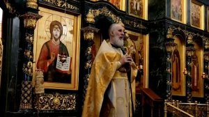 04.01.26 Слово митр. прот. Николая Малеты