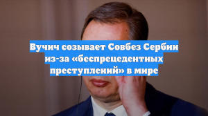 Вучич созывает Совбез Сербии из-за «беспрецедентных преступлений» в мире