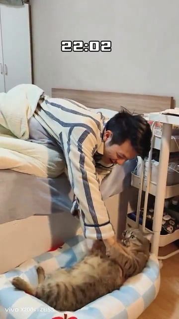 У кого есть кошки тот поймёт наш тг⬇️