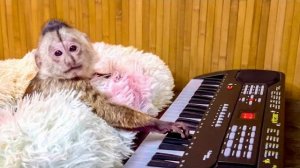 УДИВИТЕЛЬНО! Мы учим Финика ИГРАТЬ НА ПИАНИНО, малыш заинтересовался!))