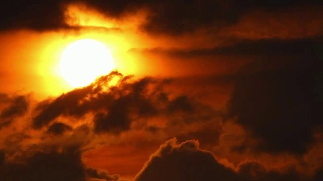 Пленило душу