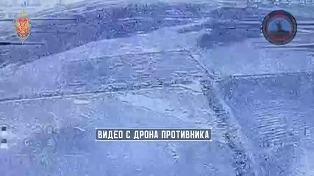 Системой РЭБ «Купол Донбасса» за неделю предотвращены 198 террористических атак со стороны против... смотреть онлайн