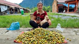 Сбор урожая персиков и сливы. Поход на рынок  продавать фрукты вместе с двумя собаками. Дуонг