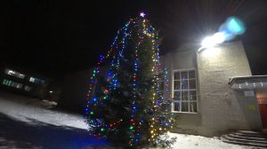 Встретили Новый 2026  Год в деревне