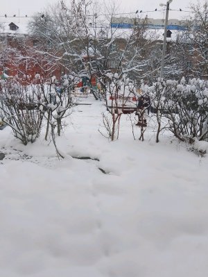 самая подходящее время