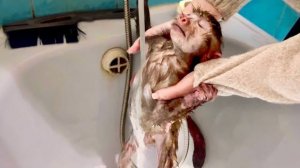 ОБХОХОЧЕШЬСЯ! Вы еще не видели, чтобы Анфиса ТАК КУПАЛАСЬ!))