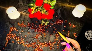 Что посылает вам Судьба ❓Какие чудеса произойдут ❓💯 #гадание