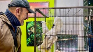 Папа с Кешей и Жориком УСТРОИЛИ ДЖАГА-ДЖАГУ, Финик с Анфиса в ТИХОМ УЖАСЕ!))