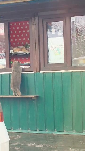 Стоит покупатель наш тг⬇️