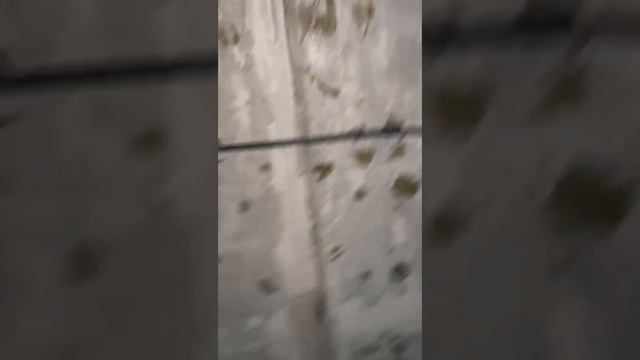 Делаем новую электропроводку в панельном доме, квартира 44 кв/м.
(второй день) смотреть онлайн