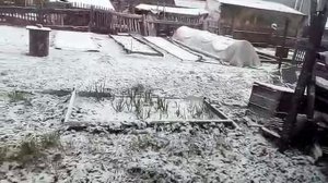 Снег в Новосибирске.