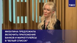 Мизулина предложила включить приложения банков и маркетплейсы в "белый список"