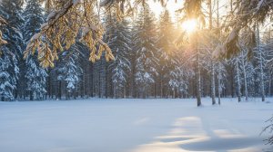 Тишина - клип, дуэт.