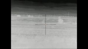 Снова луна, но облачность помогла, охотно на шакала в Волгоградских степях вышла удачная.