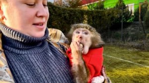 ПРОСТО СМЕХ! Анфиса полюбила яйца и теперь она их ЕСТ ЦЕЛИКОМ И СО СКОРЛУПОЙ!))