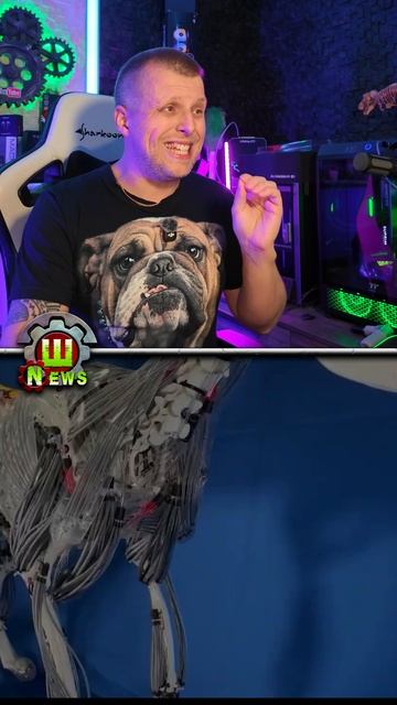 Жуть или прорыв? Японцы создали робопса без кожи смотреть онлайн