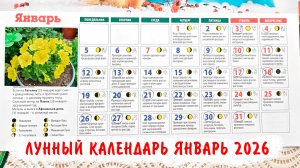 Лунный посевной календарь огородника на Январь 2026. Благоприятные дни, лучшее время для посевов!
