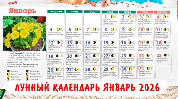 Лунный посевной календарь огородника на Январь 2026. Благоприятные дни, лучшее время для посевов!