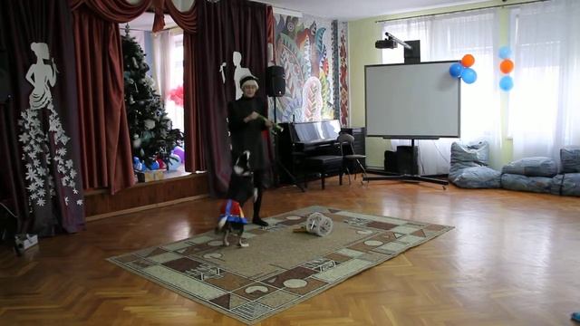 Гулька гадает