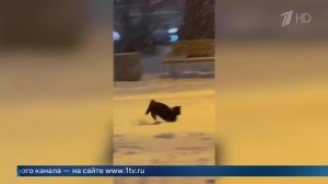 Жителей Москвы предупредили о 20-градусных морозах на следующей неделе.