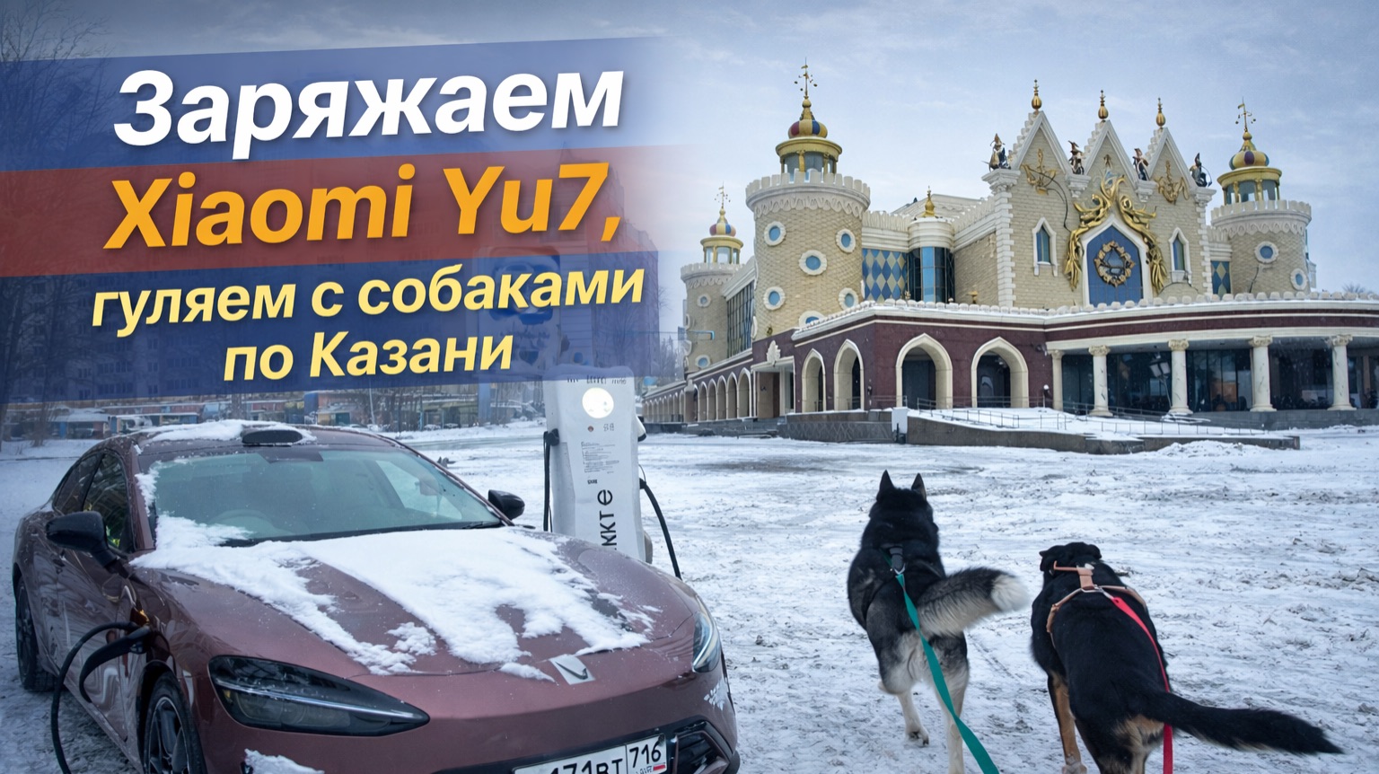 VLOG: заряжаем Xiaomi Yu7, гуляем с собаками