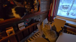 Шквал подарков и снега