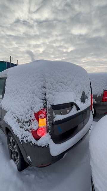 2025 LADA LARGUS CROSS смотреть онлайн
