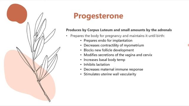 Овуляторный цикл при проведении УЗИ (рама) лекция для врачей